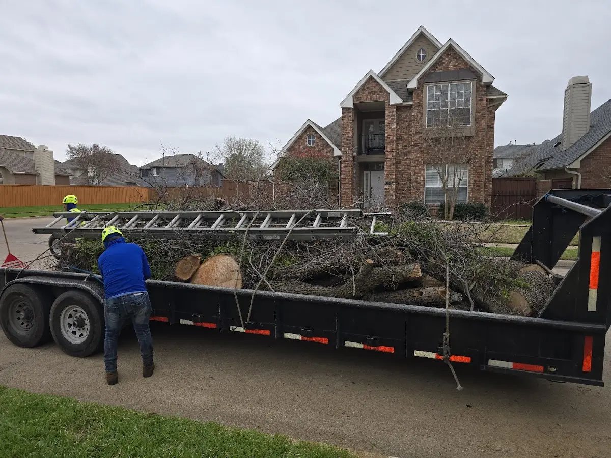 Expert Lot Clearing with proper safety equipment in Steele